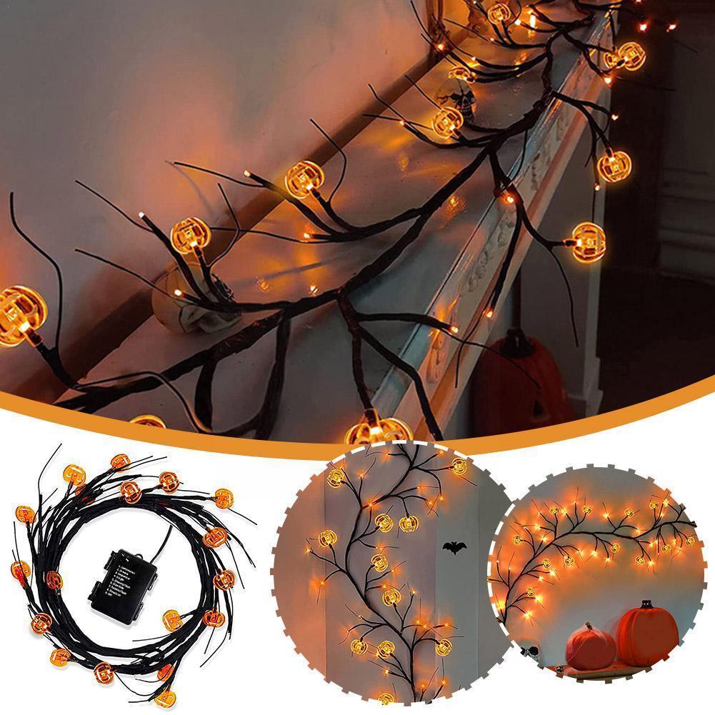 Pumpkin Trail Lights