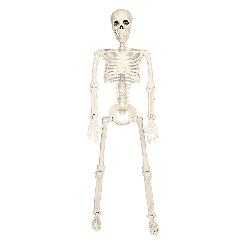 Ghoul Bones Décor